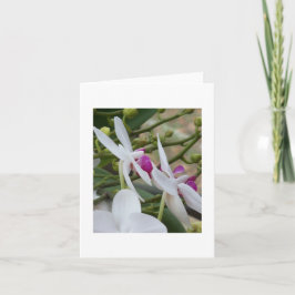 Cartão Placa de Vazio das Orquídeas de Mama Roxa e Branca