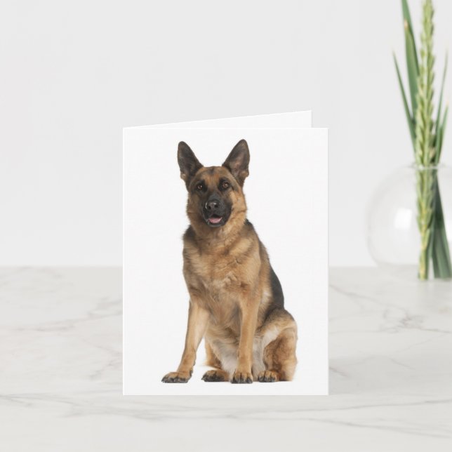 Cartão Placa de Vazio de Cachorro german shepherd (Frente)