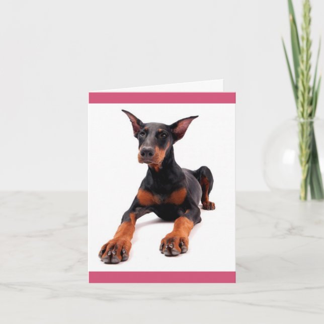 Cartão Placa de Vazio de Cão Doberman Pinscher Puppy Dog (Frente)
