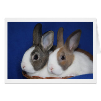 Cartão Placa de Vazio de Coelho Neerlandês