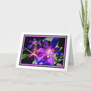 Cartão Placa de Vazio de Flor Clematis Iluminada