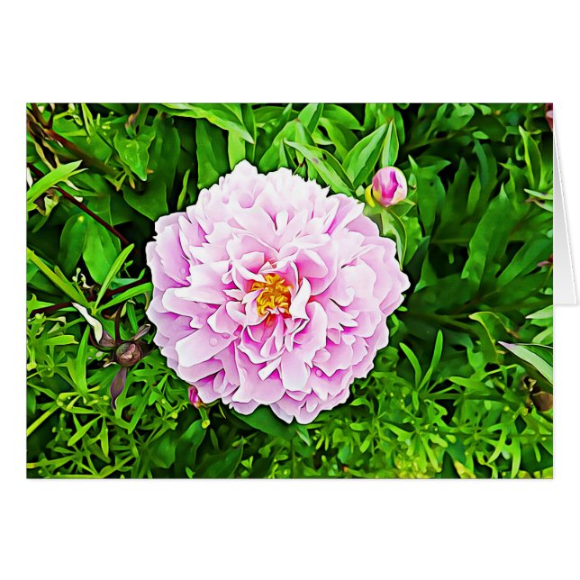 Cartão Placa de Vazio de Flor de Península Rosa (Frente Horizontal)