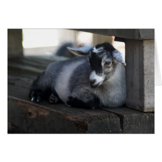 Cartão Placa de Vazio de ida