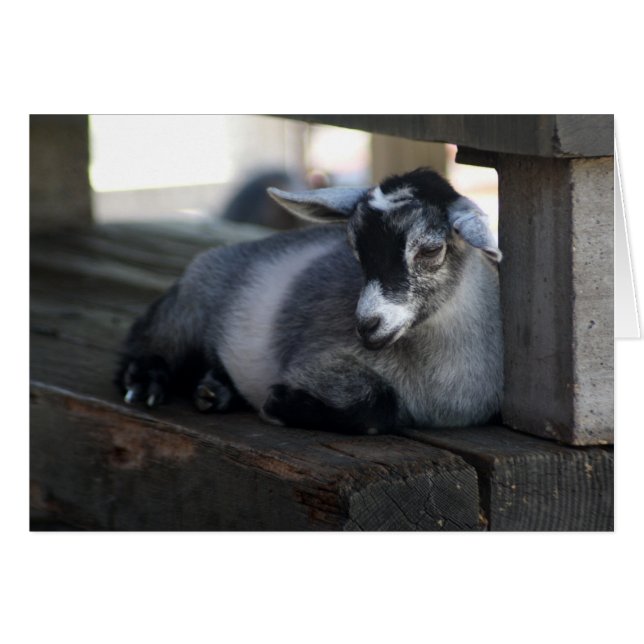 Cartão Placa de Vazio de ida (Frente Horizontal)