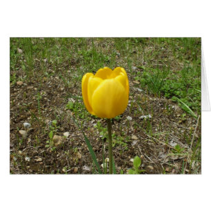 Cartão Placa de Vazio de Tulipa Amarela
