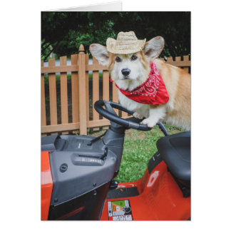 Cartão Placa de vazio Farmer Corgi