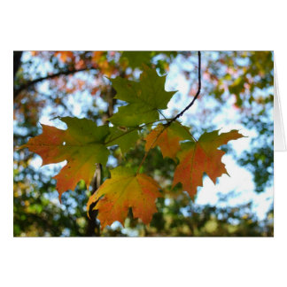Cartão Placa de vazio Folha de Mapeamento