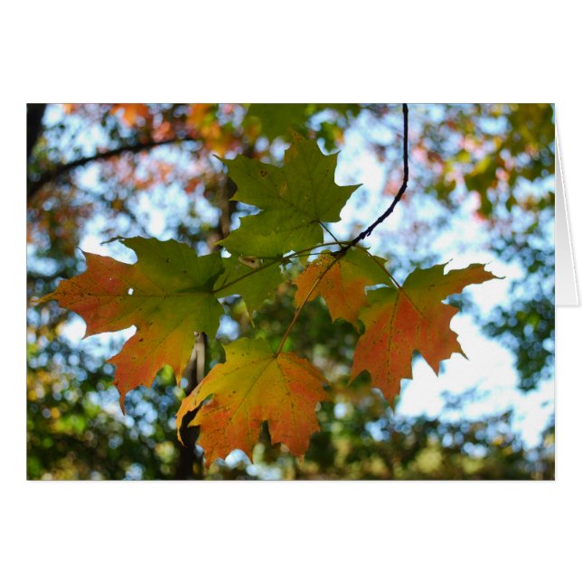 Cartão Placa de vazio Folha de Mapeamento (Frente Horizontal)
