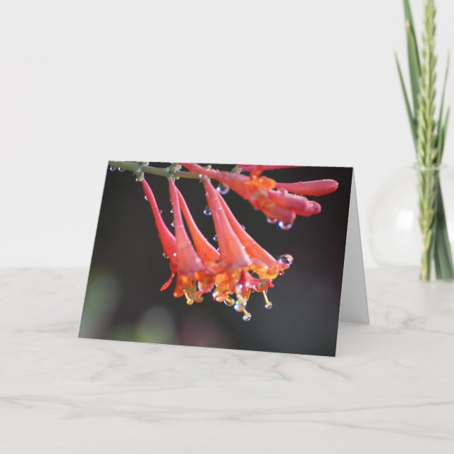 Cartão Placa de vazio - Modo de exibição da manhã (Frente)