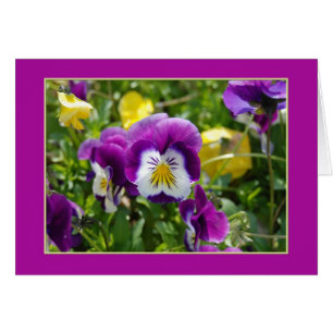 Cartão Placa de Vazio Pansy Garden