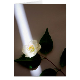 Cartão Placa de Vazio personalizável