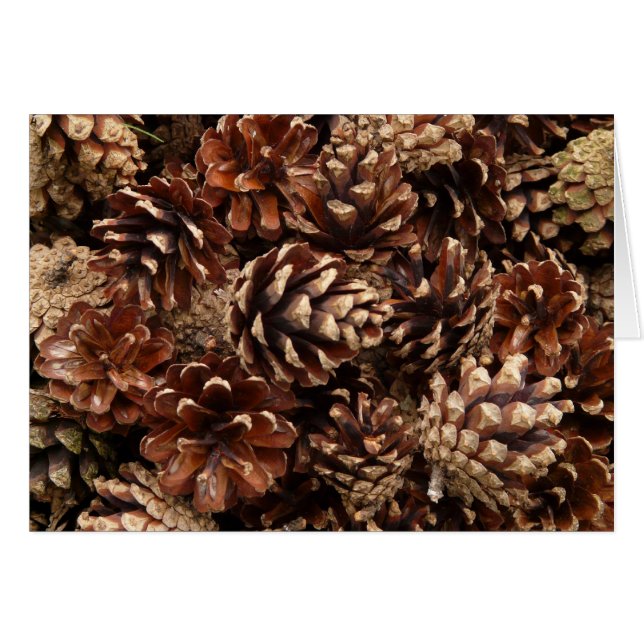 Cartão Placa de Vazio Pine Cones (Frente Horizontal)