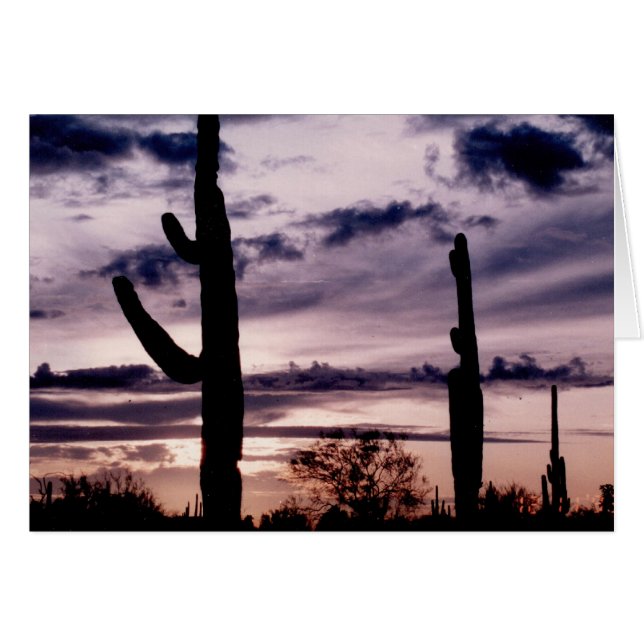 Cartão Placa de vazio - Saguaro ao pôr do sol (Frente Horizontal)