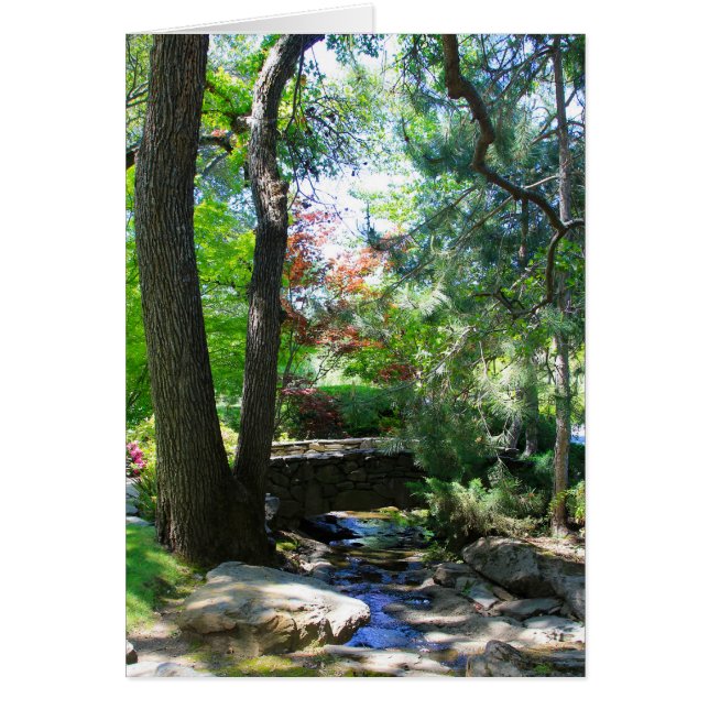 Cartão Placa de vazio, Stream e Bridge (Frente)