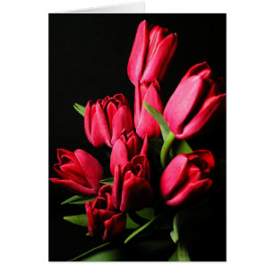Cartão Placa de Vazio Tulipas Vermelhas