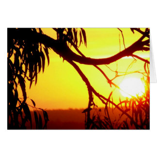 Cartão Placa de Visualizações Silhueta Sunset