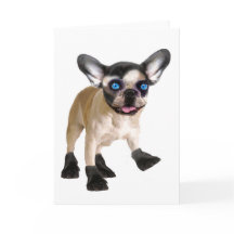 Placa Dentro de Vazio cômoda