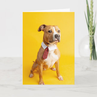 Cartão placa dentro Vazio