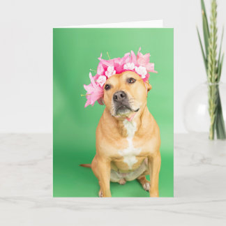 Cartão placa dentro Vazio