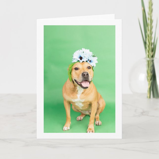 Cartão placa dentro Vazio (Frente)