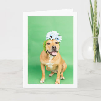 Cartão placa dentro Vazio