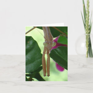 Cartão Placa do Exterminador