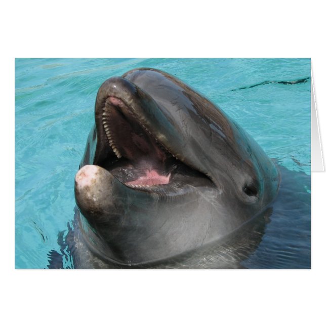 Cartão Placa do Flipper (Frente Horizontal)