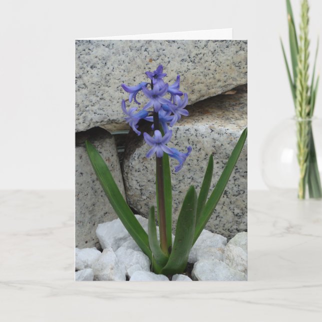 Cartão Placa do vazio (Frente)