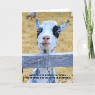 Cartão Placa dobrada de 5"x7" Cabra sem amigos