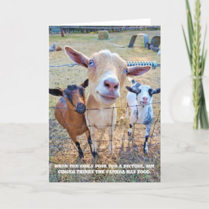 Cartão Placa dobrada de 5"x7"   Foco na Comida