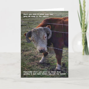 Cartão Placa dobrada de 5"x7"    Popeye Morning "Do