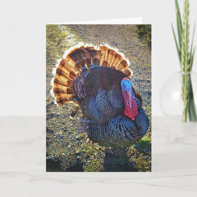 Cartão Placa dobrada de 5"x7" | Sunrise Thomas (Frente)