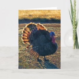 Cartão Placa dobrada de 5"x7" | Thomas a-Struttin"