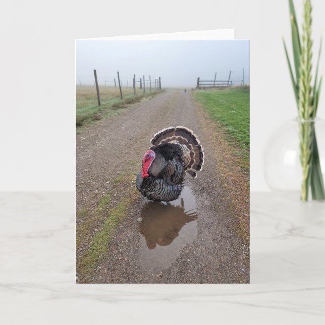 Cartão Placa dobrada de 5"x7" | Turquia no Nevoeiro (Frente)