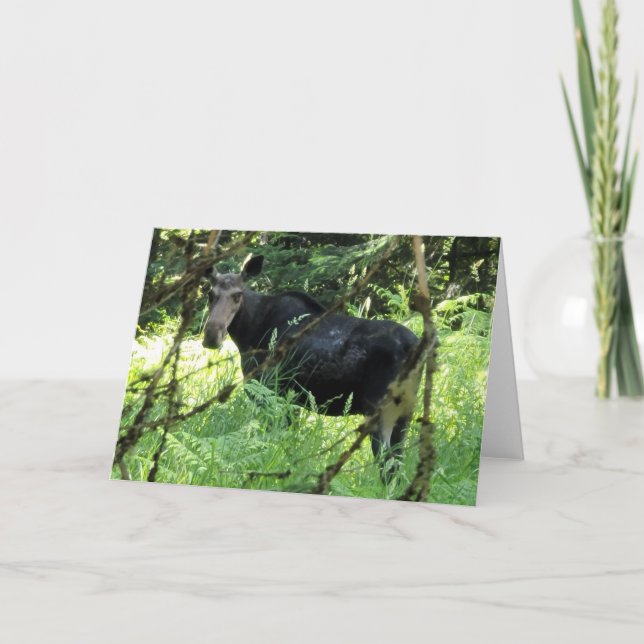 Cartão Placa dobrada de 7"x5" | Almoço (Frente)