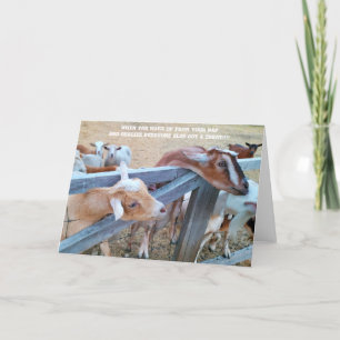 Cartão Placa dobrada de 7"x5"   Ei-Hay! Onde está o meu?