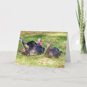 Cartão Placa dobrada de 7"x5" Gobble Gobble