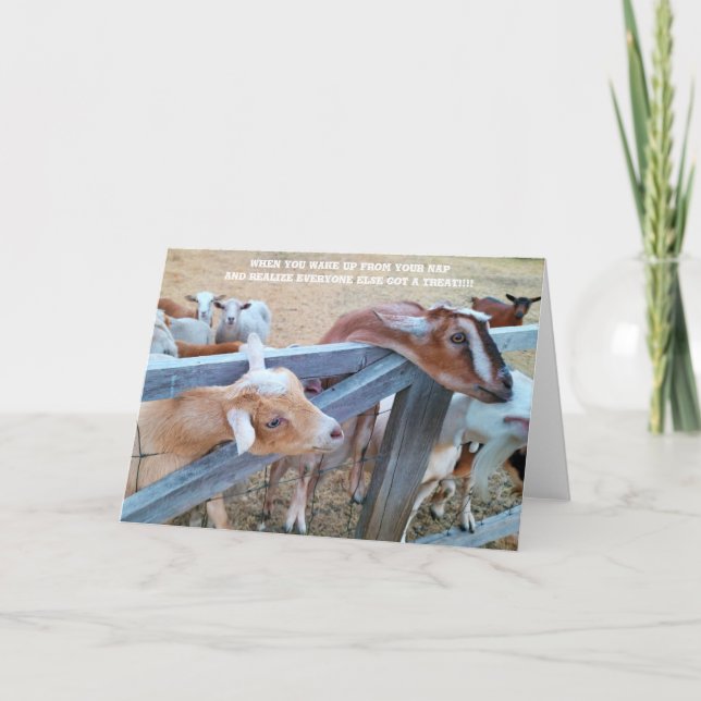 Cartão Placa dobrada de 7"x5" | Hay! Onde está o meu? (Frente)