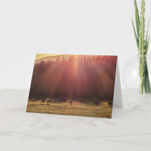 Cartão Placa dobrada de 7"x5"   Red Dawn Elk