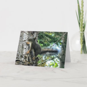 Cartão Placa dobrada de 7"x5" Tree Squirrel Photo Paint