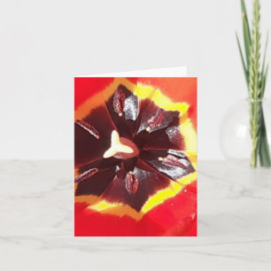 Cartão Placa dobrada de tulipas vermelho escarlate