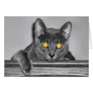 Cartão Placa Dourada Disky