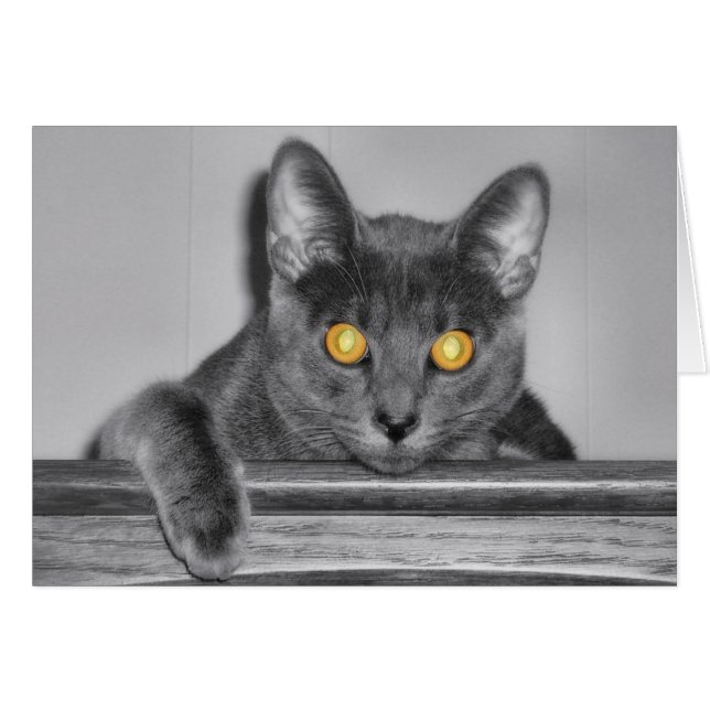 Cartão Placa Dourada Disky (Frente Horizontal)