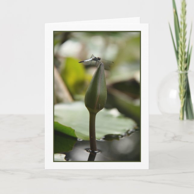 Cartão Placa Dragonfly (Frente)