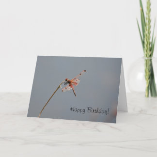 Cartão Placa Dragonfly Birthday