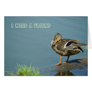 Cartão Placa Duck