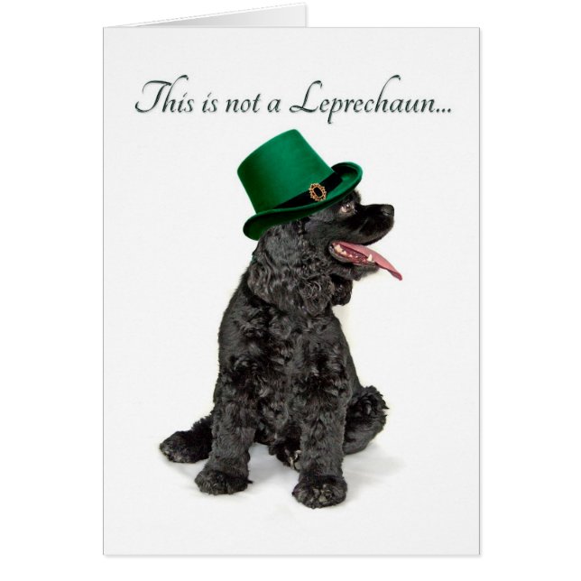 Cartão Placa Engraçada do Cocker Spaniel Leprechaun (Frente)