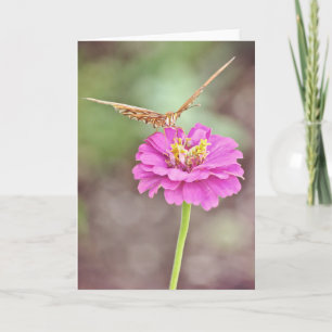 Cartão Placa Escritura De Néctar De Borboleta Psalm 34:8