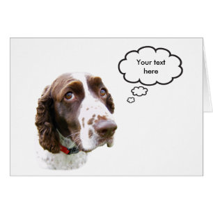 Cartão Placa espanhola Springer em inglês personalizada