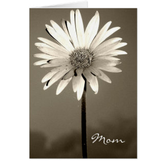 Cartão Placa Flor Mãe